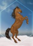  2020 animal_genitalia blue_eyes brown_body brown_hair brown_mane brown_tail digital_media_(artwork) dolero equid equine feathering feral fur genitals grass hair hi_res hooves horse looking_at_viewer male mammal mane on_hind_legs plant raised_tail sheath simple_background snow solo tail viviangard 