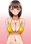  anegasaki_nene bikini breasts brown_eyes brown_hair hirokawa_kouichirou large_breasts love_plus mole mole_under_eye solo swimsuit 