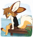  2023 anthro aseethe blue_eyes brown_hair canid canine clothed clothing digital_media_(artwork) female fennec fox hair hi_res mammal partially_submerged smile 