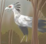  2016 accipitriform ambiguous_gender avian beak biped bird black_body eye_markings feathered_wings feathers feral furnut green_markings head_feathers hi_res looking_at_viewer markings multicolored_body open_mouth outside plant secretary_bird side_view standing tongue tree two_tone_body white_body wings 