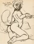  2022 5_fingers 5_toes anthro balls caribou_(artist) collar digital_media_(artwork) feet fingers genitals gulonine hai male mammal marten mustelid musteline r ruf simple_background sketch smile solo toes 