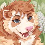  1:1 anthro blue_eyes brown_body brown_fur brown_hair brown_inner_ear_fluff bust_portrait cheek_tuft chest_tuft corzh77 eyelashes facial_tuft fangs female fur glistening glistening_eyes hair hi_res inner_ear_fluff looking_at_viewer multicolored_body multicolored_fur open_mouth open_smile orange_body orange_fur pink_nose portrait red_tongue short_hair smile solo species_request teeth tongue tuft white_body white_fur 