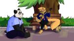  absurd_res anthro bear bench bird_dog brown_eyes canid canine canis cheek_tuft clothing diggy_(diggydog) diggydog domestic_dog duo facial_tuft floppy_ears fluffy fluffy_tail fur fur_markings giant_panda golden_retriever grass guitar hi_res hunting_dog looking_at_another lucas_(diggydog) male male/male mammal markings muscular muscular_male musical_instrument outside plant plucked_string_instrument retriever simple_background sitting sitting_on_ground size_difference smile smiling_at_each_other string_instrument sweater tail tail_motion tailwag thick_thighs topwear tree tuft whiskers 
