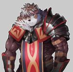  1boy absurdres animal_ears armor bara cowboy_shot frown furry furry_male headband highres large_pectorals looking_at_viewer male_focus muscular muscular_male neumo one_eye_covered pauldrons pectorals pelvic_curtain short_hair shoulder_armor single_pauldron skin_tight solo tokyo_afterschool_summoners volkh_vseslav wolf_boy wolf_ears yellow_eyes 