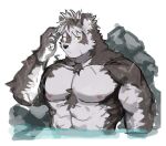  1boy abs absurdres animal_ears bara chest_hair expressionless furry furry_male grey_hair highres horkeu_kamui large_pectorals looking_at_viewer male_focus muscular muscular_male navel neumo nipples nude official_alternate_hairstyle onsen pectorals rock scar scar_on_arm scar_on_cheek scar_on_chest scar_on_face short_hair sketch solo stomach tokyo_afterschool_summoners two-tone_fur upper_body water wet wet_hair wolf_boy wolf_ears yellow_eyes 