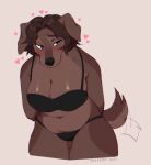  anthro blue_eyes blush bra breasts brown_hair canid canine canis cleavage clothed clothing domestic_dog female floppy_ears hair hands_behind_back hi_res mammal panties simple_background siriussternweg slightly_chubby solo tail tail_motion tailwag underwear white_background 