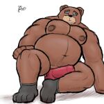  alanottaviano anthro barazoku bear belly brown_bear brown_body brown_fur bulge clothing footwear fur genitals grizzly_bear hi_res male mammal musclegut muscular muscular_male overweight overweight_male penis socks solo ursine 