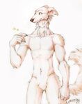 2023 akatan_art anthro black_nose canid cheek_tuft crotch_tuft dated ears_back facial_tuft featureless_crotch front_view fur hi_res male mammal mouth_closed navel neck_tuft nude pivoted_ears portrait simple_background solo sparkles standing tan_body tan_fur three-quarter_portrait tuft white_background yellow_eyes 