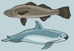  ambiguous_gender blue_background blue_body blue_tail brown_body brown_tail cetacean dorsal_fin duo feral fin gills imperatorcaesar mammal marine mouth_closed side_view simple_background simple_eyes tail 