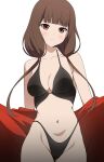  blush brown_eyes brown_hair coro_fae highres iino_miko kaguya-sama_wa_kokurasetai_~tensai-tachi_no_renai_zunousen~ navel swimsuit 