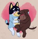  &lt;3 3_toes anthro australian_cattle_dog bandit_heeler bird_dog bisexual blue_body blue_fur bluey_(series) blush brown_body brown_fur canid canine canis cattledog corgi_(artist) cuddling domestic_dog duo embrace eyes_closed feet female fido_(bluey) fur half-closed_eyes hand_holding herding_dog hi_res hug hunting_dog labrador love male male/male mammal narrowed_eyes pastoral_dog retriever tail tail_motion tailwag toes 