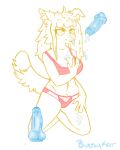  anthro aroused bodily_fluids bra canid canine canis cinni_bunnie clothing cross-eyed cum dildo domestic_dog female female/female fluffy fluffy_hair fluffy_tail genital_fluids genitals ghost hair humanoid line_art lingerie long_hair mammal panties penis pubes rylie sex_toy sketch solo spirit tail translucent translucent_penis underwear 