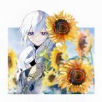  1boy blue_background blue_eyes border closed_mouth elsword flower gloves jacket kurayuki0404 long_sleeves looking_at_viewer male_focus noah_ebalon nyx_pieta_(elsword) shirt short_hair smile solo sunflower white_border white_gloves white_hair white_jacket white_shirt yellow_flower 