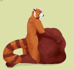  ailurid anthro belly big_belly brown_body brown_eyes brown_fur brown_nose closed_smile full-length_portrait fur glistening glistening_eyes gloves_(marking) head_tuft hi_res huge_belly kneeling leg_markings male mammal markings mouth_closed nude orange_body orange_fur portrait red_panda roobin side_view signature socks_(marking) solo striped_markings striped_tail stripes tail tail_markings tuft whiskers 