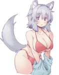  1girl :o animal_ear_fluff animal_ears betei bikini blush breasts cleavage cowboy_shot dot_nose highres large_breasts open_mouth red_bikini red_eyes shirt_removed short_hair solo string_bikini swimsuit tail thick_eyebrows touhou underboob white_background white_hair wolf_ears wolf_girl wolf_tail 