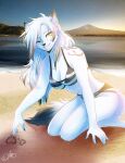  anthro arctic_fox beach bikini canid canine clothing female fox fur hi_res japan looking_at_viewer mammal pinup pose seaside smile smiling_at_viewer solo sunset swimwear voidified white_body white_fur 