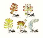  animal_focus ant antennae bug carrying commentary full_body mandibles mouth_hold myun_(moukin_no_ana) no_humans original plant simple_background succulent_plant symbol-only_commentary white_background 