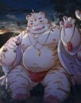  2023 anthro asian_clothing belly big_belly blush cai_yuwang clothing detailed_background east_asian_clothing felid fundoshi japanese_clothing kemono male mammal moobs navel night nipples outside overweight overweight_male pantherine red_clothing red_fundoshi red_underwear sitting solo tiger underwear white_body 