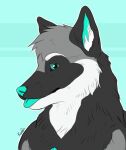  anthro black_body black_ears black_fur blep blue_eyes blue_inner_ear blue_nose blue_tongue bust_portrait canid cheek_tuft facial_tuft fur glistening glistening_eyes grey_body grey_fur head_tuft hi_res inner_ear_fluff looking_at_viewer male mammal portrait roobin signature simple_background solo tongue tongue_out tuft white_body white_fur white_inner_ear_fluff 