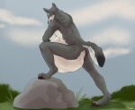  anthro belly big_belly blue_sky brown_claws brown_eyes canid claws cloud full-length_portrait fur grass grey_body grey_fur huge_belly male mammal nude outside plant portrait rock roobin signature sky solo standing white_body white_fur 