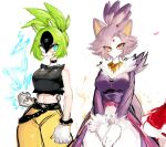  2girls animal_ears black_hair blaze_the_cat blue_eyes bracelet breasts cat_ears dress ear_piercing expressionless fur_trim gloves green_hair grin humanization jewelry long_sleeves looking_at_viewer multicolored_hair multiple_girls own_hands_together pants piercing purple_dress purple_hair shirt sleeveless sleeveless_shirt slit_pupils smile sonic_(series) standing surge_the_tenrec two-tone_hair usa37107692 white_gloves yellow_pants 