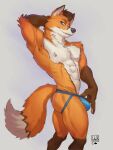  abs anthro barely_visible_genitalia barely_visible_penis blue_eyes bulge canid canine clothed clothing clothing_pull fluffy fluffy_tail fox genitals hand_behind_head hand_on_underwear head_tuft hi_res jockstrap jockstrap_only lion21 male mammal muscular muscular_male navel nipples orange_body pecs penis pinup pose simple_background solo tail topless tuft underwear underwear_only underwear_pull 