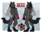  anthro black_body black_fur black_nose black_pawpads butt canid cheek_tuft closed_smile color_swatch crotch_tuft digitigrade facial_tuft featureless_crotch front_view fur glistening glistening_eyes gloves_(marking) grey_body grey_fur hand_on_hip head_tuft knee_tuft leg_markings leg_tuft male mammal markings model_sheet mouth_closed nude pawpads pupils rear_view red_body red_eyes red_fur rexx_(stonelesssleek) shoulder_tuft simple_background slit_pupils socks_(marking) solo tuft yookie 