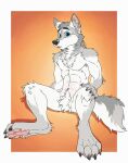  abs anthro artist_name blue_eyes canid cheek_tuft crotch_tuft facial_tuft featureless_crotch front_view full-length_portrait fur glistening glistening_eyes grey_body grey_fur head_tuft hi_res knee_tuft leg_tuft looking_at_viewer male mammal muscular muscular_anthro muscular_male neck_tuft nude pecs portrait roobin shoulder_tuft simple_background sitting solo spread_legs spreading tuft white_body white_fur 