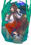 1girl absurdres animal_ear_fluff animal_ears architecture bamboo bamboo_forest bangs black_footwear blush breasts brown_hair cloud commentary_request east_asian_architecture fangs fingernails forest full_body grass highres imaizumi_kagerou large_breasts long_hair long_sleeves looking_at_viewer looking_to_the_side nature open_mouth outdoors purple_sky red_eyes red_skirt rock sandals sharp_fingernails shirt shishi_wan sidelocks skirt slit_pupils solo sweatdrop tail touhou very_long_hair white_nails white_shirt wolf_ears wolf_girl wolf_tail 