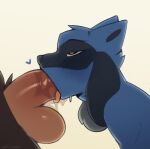  &lt;3 &lt;3_eyes ambiguous_gender anthro balls blue_body blue_fur bodily_fluids canid canine duo erection fellatio fur generation_4_pokemon genital_fluids genitals hi_res human human_on_anthro humanoid_genitalia humanoid_penis interspecies male male/ambiguous male/male male_on_anthro mammal nepentz nintendo nude oral oral_penetration penetration penile penis pokemon pokemon_(species) pokephilia red_eyes riolu sex tongue tongue_out 