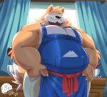  anthro apron baker bakery barazoku beard belly belly_outline biceps big_belly black_nose blue_clothing blue_topwear bottomwear breasts brown_body brown_fur canid canine canis claws clothed clothing detailed_background domestic_dog eyes_closed facial_hair fur hair hand_on_chest hi_res male mammal muscular muscular_male overweight overweight_male pants pecs red_clothing shiba_inu smile solo spitz tail tight_clothing topwear uwsponge white_bottomwear white_clothing white_pants 