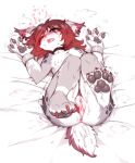  &lt;3 anthro bed blush bodily_fluids claws collar cuff_(restraint) cum cum_in_pussy cum_inside female fur furniture genital_fluids grey_body grey_fur hair hi_res lying on_back pawpads paws red_claws red_hair restraints shaking simple_background solo swaybat white_background white_body white_fur 