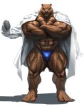  2022 5_toes absurd_res anthro barazoku barefoot bear big_muscles black_nose blue_eyes brown_body brown_fur bulge clothed clothing coat crossed_arms echin feet fur hi_res huge_muscles humanoid_feet lab_coat male mammal muscular muscular_anthro muscular_male plantigrade pose simple_background solo speedo standing swimwear toes topless topwear vein veiny_muscles white_background 