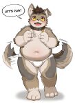  absurd_res anthro belly blush briefs bulge canid canine canis clothing collar domestic_dog english_text fur grey_body grey_fur hi_res male mammal navel overweight solo ssu_open tail tail_motion tailwag text tighty_whities underwear white_briefs white_clothing white_underwear yellow_eyes 
