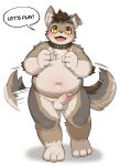  absurd_res anthro balls belly blush bodily_fluids canid canine canis collar domestic_dog english_text erection fur genital_fluids genitals grey_body grey_fur hi_res male mammal navel nude overweight penis precum solo ssu_open tail tail_motion tailwag text yellow_eyes 