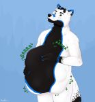  anthro belly big_belly black_body black_eyebrows black_fur black_nose blue_background blue_markings canid digestion_noises ear_markings eyebrows facial_markings fur glistening glistening_eyes hand_on_stomach head_markings hi_res huge_belly male mammal markings mouth_closed nude portrait roobin signature simple_background solo standing three-quarter_portrait white_body white_fur 