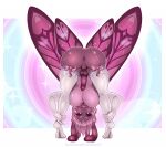  anthro anus arthropod bent_over bow_ribbon clothing footwear genitals hair hazelkisses insect lepidopteran looking_at_viewer male mane moth penis pink_hair socks solo solo_focus wings 