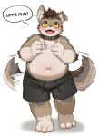  absurd_res anthro belly blush bottomwear canid canine canis clothing collar domestic_dog english_text fur grey_body grey_fur hi_res male mammal navel overweight shorts solo ssu_open tail tail_motion tailwag text yellow_eyes 