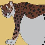 abdominal_bulge ambiguous_gender animated belly big_belly black_spots brown_body felid feral glistening glistening_eyes grey_body huge_belly light_body low_res mammal mouth_closed orange_eyes red_nose roobin simple_background solo spots spotted_body vore 