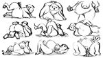  absurd_res anthro avian band1tnsfw belly big_belly big_breasts bird breasts digital_drawing_(artwork) digital_media_(artwork) female female_focus hi_res multiple_poses navel owl portrait pose pregnant pregnant_female sketch solo thick_thighs 