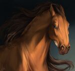  2022 ambiguous_gender anatomically_correct blue_eyes brown_body brown_hair brown_mane bust_portrait digital_media_(artwork) dolero equid equine feral hair hi_res hisoee horse looking_at_viewer male_(lore) mammal mane portrait simple_background solo 