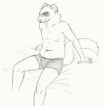  2019 anthro bed belly briefs briefs_only cettus cettus_chaput clothed clothing domestic_ferret furniture male mammal mustelid musteline nipples on_bed partially_clothed sitting sitting_on_bed sketch slightly_chubby slightly_chubby_anthro slightly_chubby_male solo tail topless true_musteline underwear underwear_only weasel 