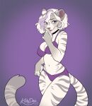  2023 5_fingers anthro breasts clothed clothing digital_media_(artwork) felid feline female fingers hair hi_res kittydee mammal midriff navel purple_background purple_eyes simple_background tail white_hair 