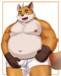  2023 aipangpangdeyua anthro belly big_belly canid canine clothing fox green_eyes hi_res humanoid_hands iyo_(tamacolle) kemono male mammal moobs navel nipples overweight overweight_male solo tamacolle underwear 