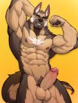  2022 abs absurd_res anthro balls biceps bodily_fluids brown_body brown_ears brown_fur canid canine canis domestic_dog erection foreskin frenulum fur genital_fluids genitals glans hi_res male mammal muscular muscular_anthro muscular_male nipples nude pecs penis pink_glans precum retracted_foreskin solo uiokv vein white_body white_fur 