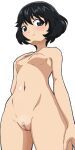  1girl bangs black_eyes black_hair blush breasts cleft_of_venus closed_mouth completely_nude cowboy_shot girls_und_panzer gogopaint groin hand_on_own_chest highres looking_at_viewer navel nipples nude pubic_hair pussy short_hair silhouette simple_background small_breasts smile solo standing utsugi_yuuki white_background 