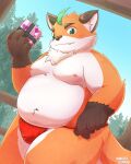  2023 anthro asian_clothing belly big_belly canid canine clothing cute_fangs detailed_background east_asian_clothing fox fundoshi hi_res holidays iyo_(tamacolle) japanese_clothing kemono male mammal moobs navel nipples orange_body overweight overweight_male red_clothing red_fundoshi red_underwear solo tamacolle underwear valentine&#039;s_day young yukino_kouta 