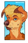  anthro blonde_hair blue_eyes brown_nose bust_portrait canid cheek_tuft ear_piercing ear_stud facial_tuft floppy_ears front_view fur glistening glistening_eyes hair male mammal mouth_closed narrowed_eyes orange_body orange_fur piercing portrait rayliicious short_hair signature simple_background solo tuft 