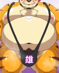  12beat13 age_progression anthro beard belly blush body_hair chest_hair chest_tuft embarrassed facial_hair felid hair lifewonders male mammal mankini moobs muscular muscular_male navel nipples nomad_(tas) pantherine pecs red_hair smile smirk solo tiger tokyo_afterschool_summoners tuft weight_gain 