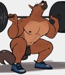 2023 abs animal_genitalia anthro balls barazoku barbell big_balls big_muscles bodily_fluids clenched_teeth clothing equid equine equine_genitalia exercise eyes_closed footwear fully_sheathed genitals hair haps hi_res horse male mammal muscular muscular_anthro muscular_male nails navel nipples nude pecs shadow sheath shoes signature simple_background socks solo squats sweat teeth vein weightlifting white_background workout 